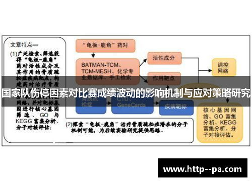国家队伤停因素对比赛成绩波动的影响机制与应对策略研究